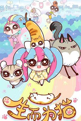 贵阳优化seo搜索